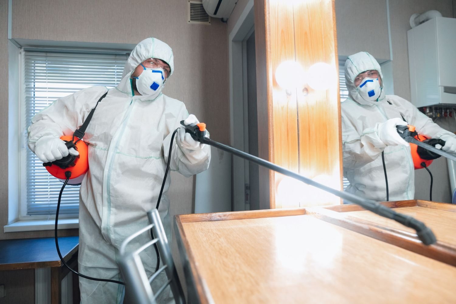 Mastering the Art of Pest Control: Effective Solutions for a Pest-Free Environment