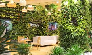Why Australian Made Vertical Garden Planters Matter Today