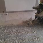 What To Expect From Professional Tile And Concrete Floor Removal Experts