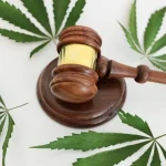 Legal Risks in Hemp Markets: Synthetic Urine Use Cases