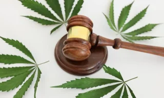 Legal Risks in Hemp Markets: Synthetic Urine Use Cases
