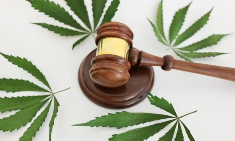 Legal Risks in Hemp Markets: Synthetic Urine Use Cases